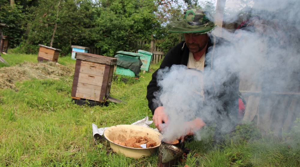 Внимание пчеловодов: Идет химобработка посевов в Карачевском районе