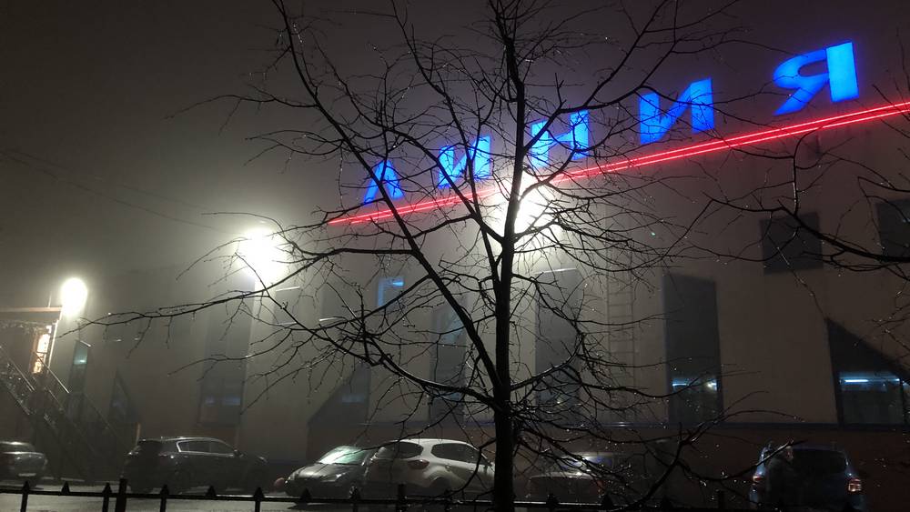 В первое утро 2023 года Брянскую область окутал густой туман