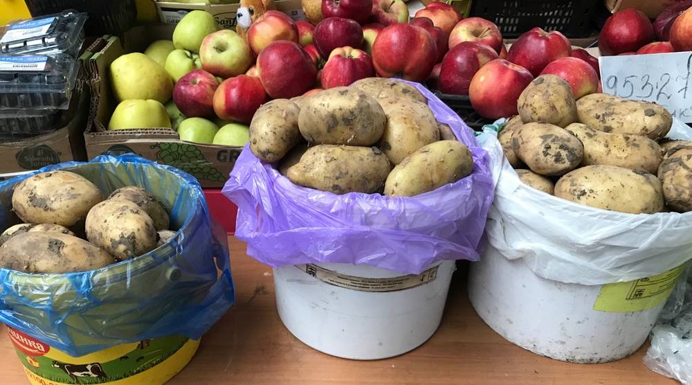 В Брянске на рынках начали продавать молодой картофель по цене 100 рублей за килограмм