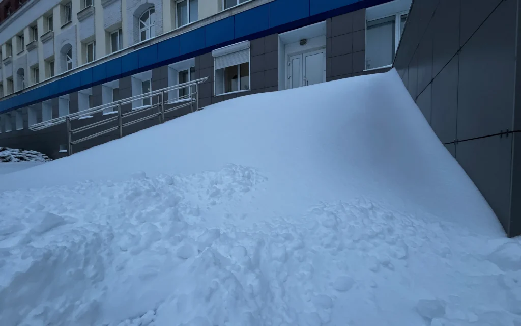 В Брянской области синоптики пообещали 10-сантиметровые сугробы на этой неделе