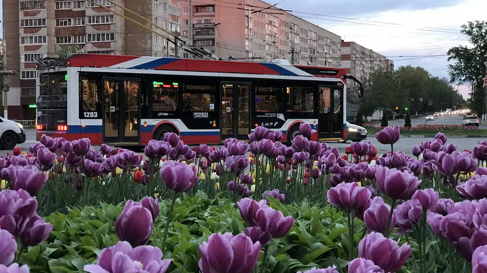 Париж рядом не стоял: в Брянске появились чудесные места