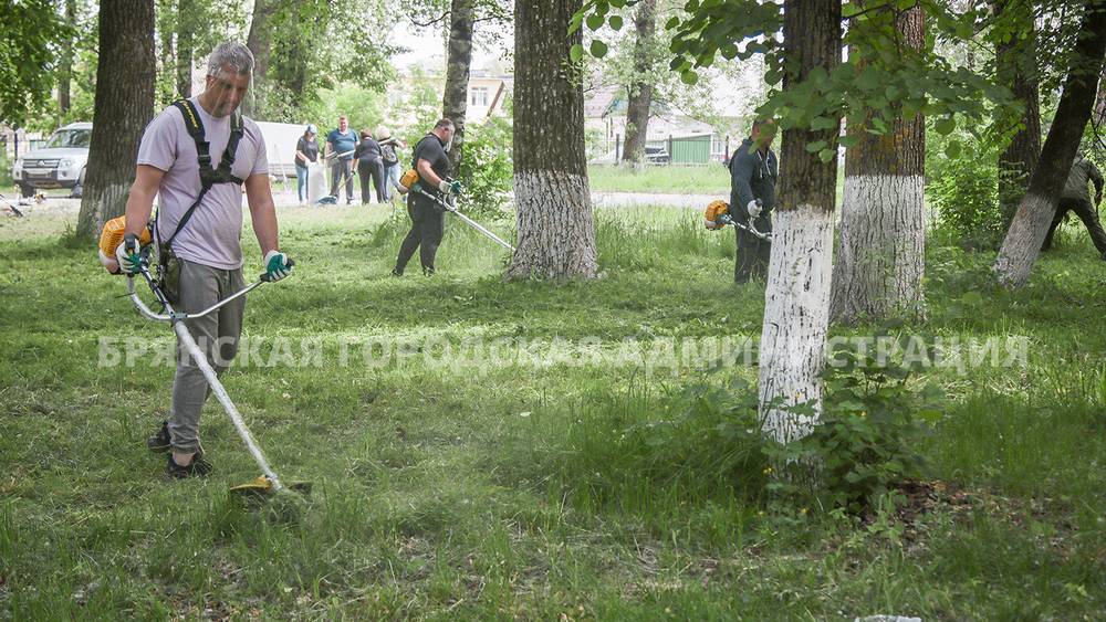 Антошин − с косилкой, Корхов − с дубиной: власти доказали любовь к Брянску