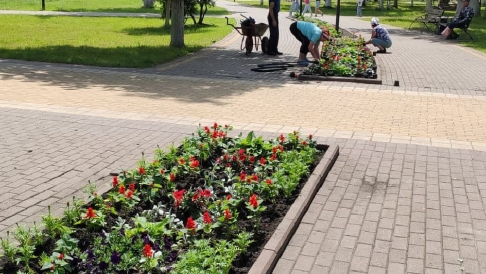 В парках Брянска за месяц высадили около трёх тысяч цветов