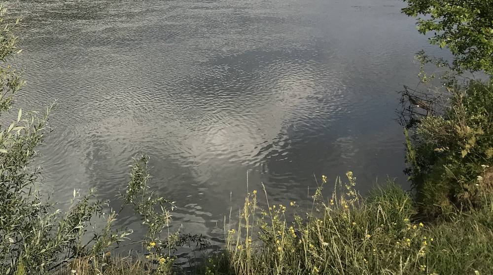 В Красной Горе в реке Беседи утонул мужчина