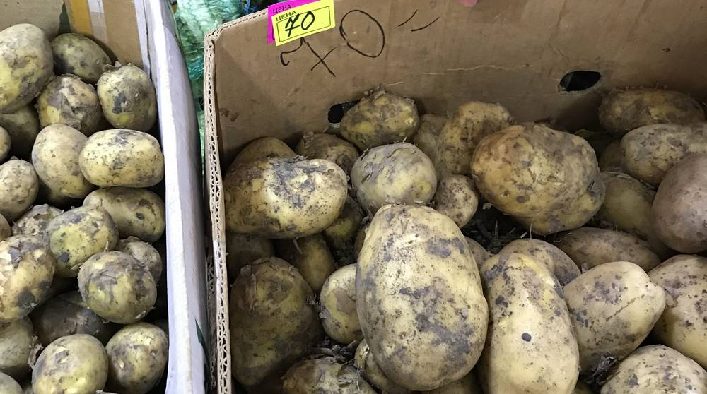 На рынках Брянска появился молодой картофель по 200 рублей за кг