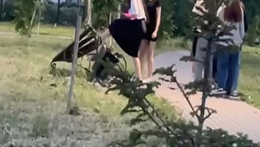 В Брянске полиция нашла девушку, сломавшую скамейку в сквере УМВД