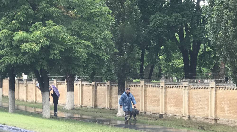 В Брянской области 13 июня прогремят грозы при 25 градусах тепла