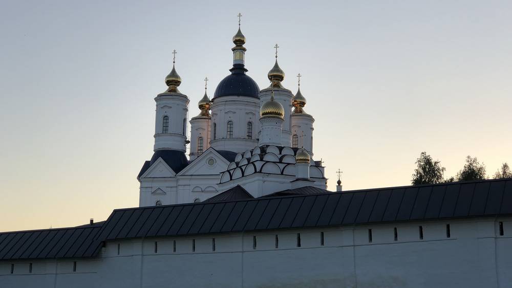 Глава СК Бастрыкин велел возбудить дело после происшествия в Свенском монастыре