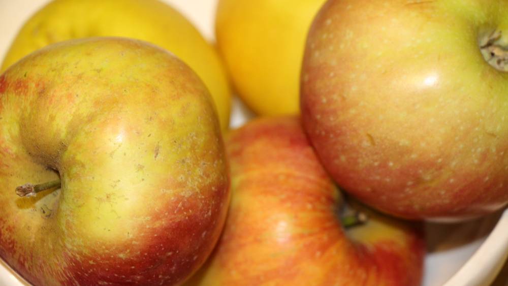 В Брянской области уничтожили 20 тонн яблок из Польши