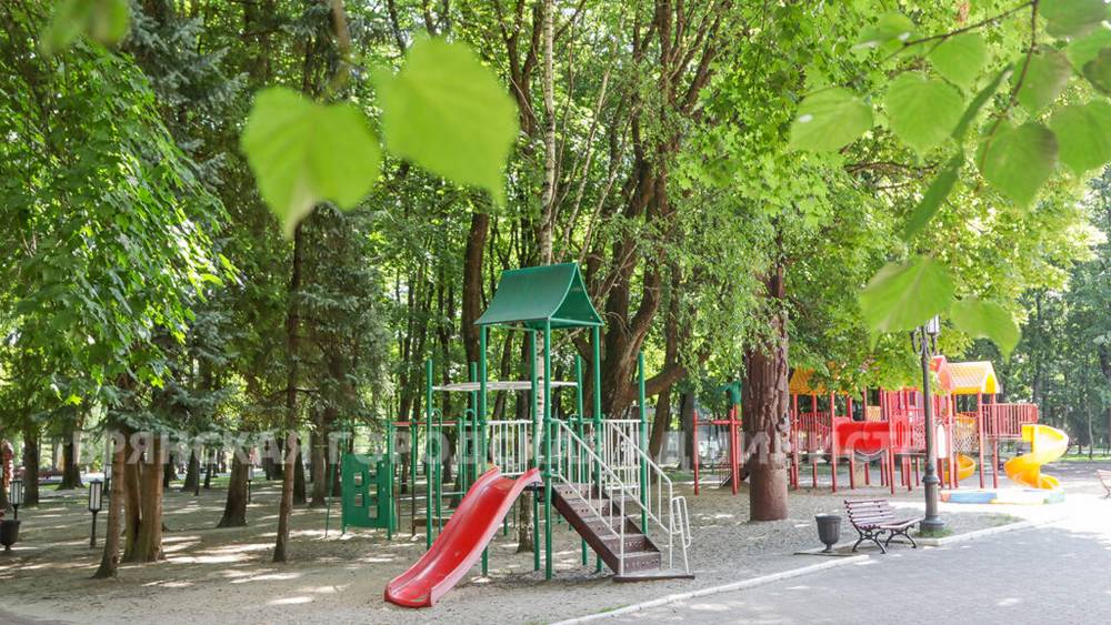В брянском парке имени Толстого скоро завершат ремонт ротонды