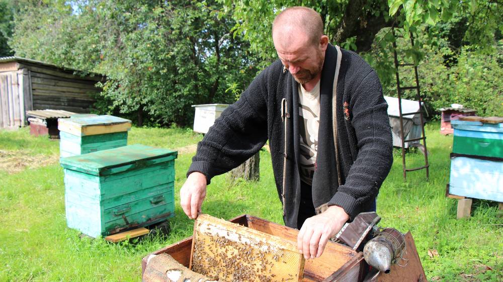 Внимание пчеловодов: В Карачевском районе идет химобработка посевов