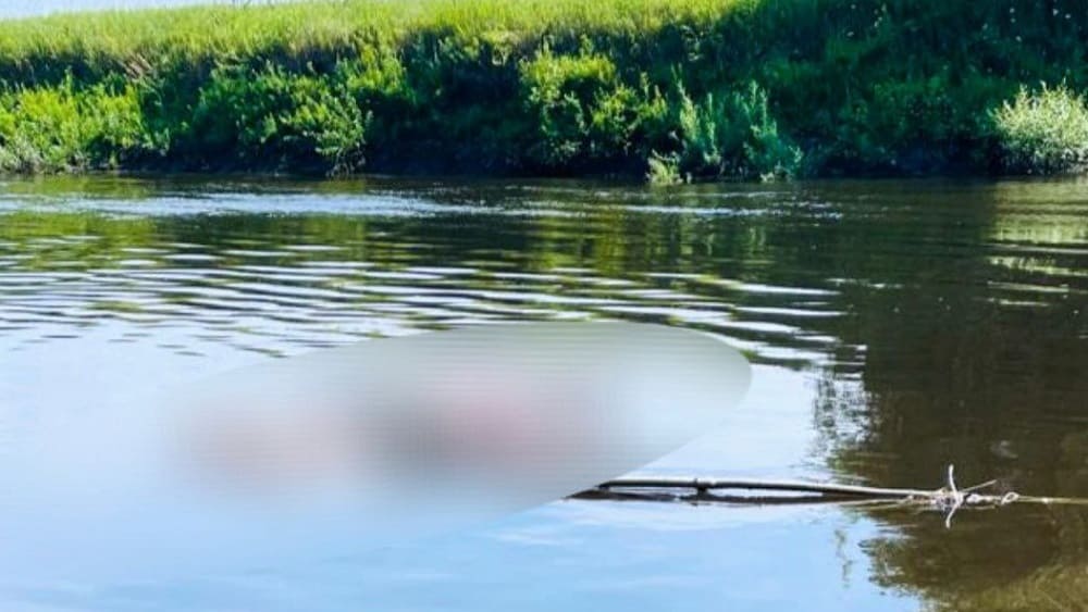 В Брянской области нашли третьего из утонувших в реке Десне парней