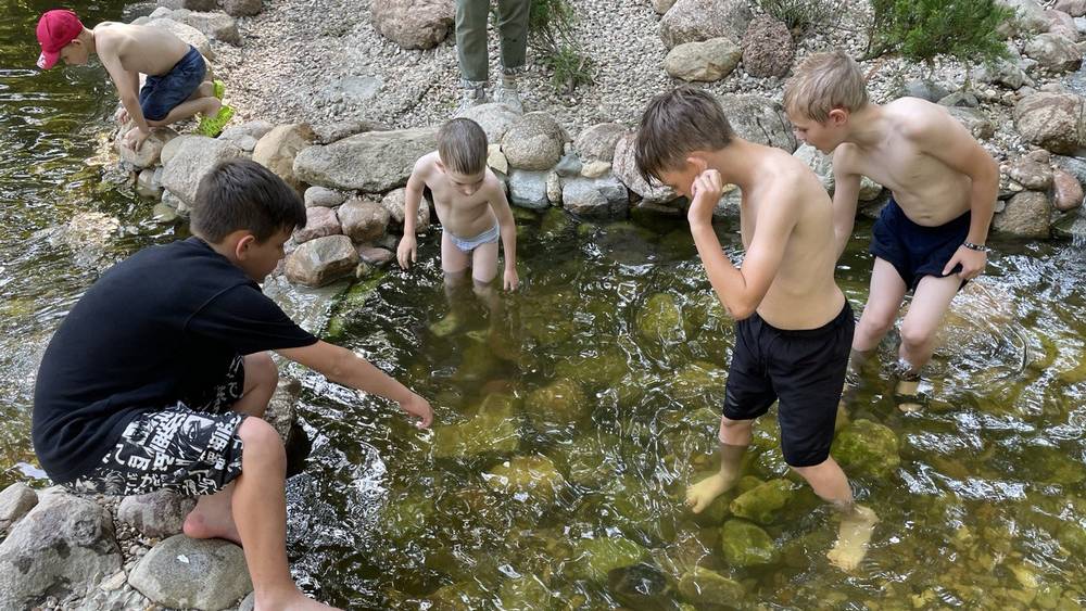 Грот и рыбки в бассейне с камнями стали развлечением брянских детей