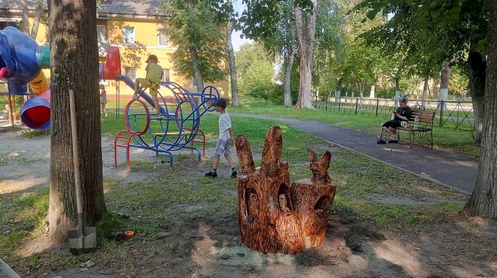 Цапля и совиное семейство показали, как вместе с властями Брянска улучшать жизнь