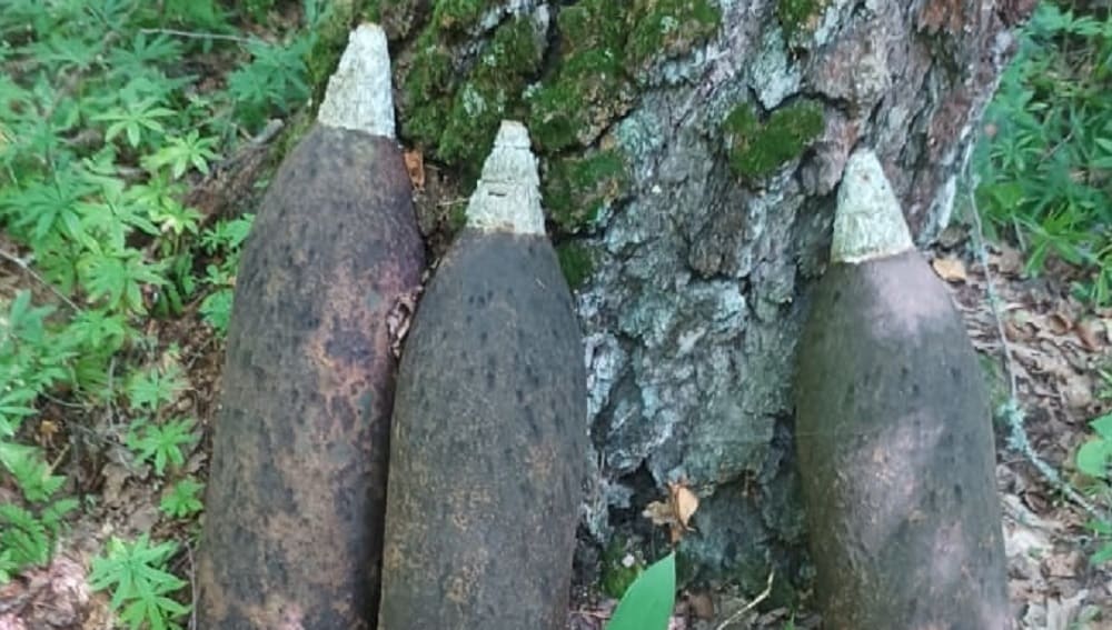 В Брасовском районе возле посёлка Погребы в лесу обнаружили три снаряда