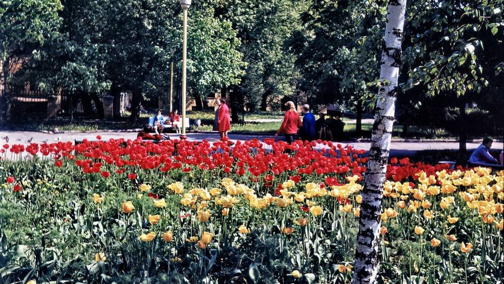 В Брянске опубликовали снимок Тютчевского сквера полувековой давности