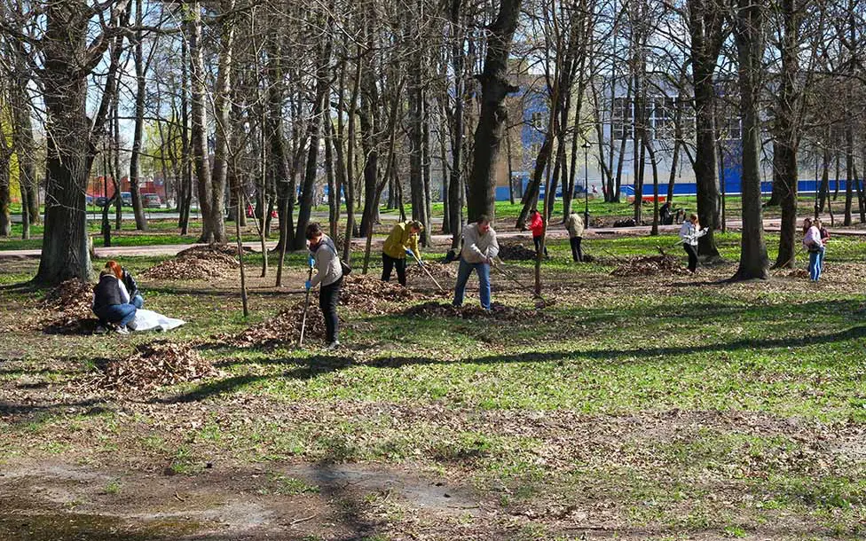 Брянск начал готовиться к Дню города: стартует месячник по благоустройству