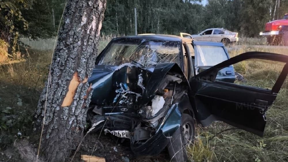 Под Суражом водитель врезавшегося в дерево автомобиля ВАЗ сломал ногу