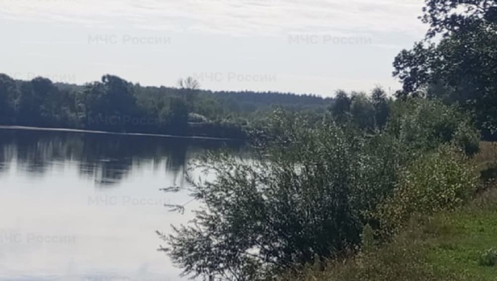 Под Брянском в селе Супонево из реки Десны подняли тело утонувшего человека