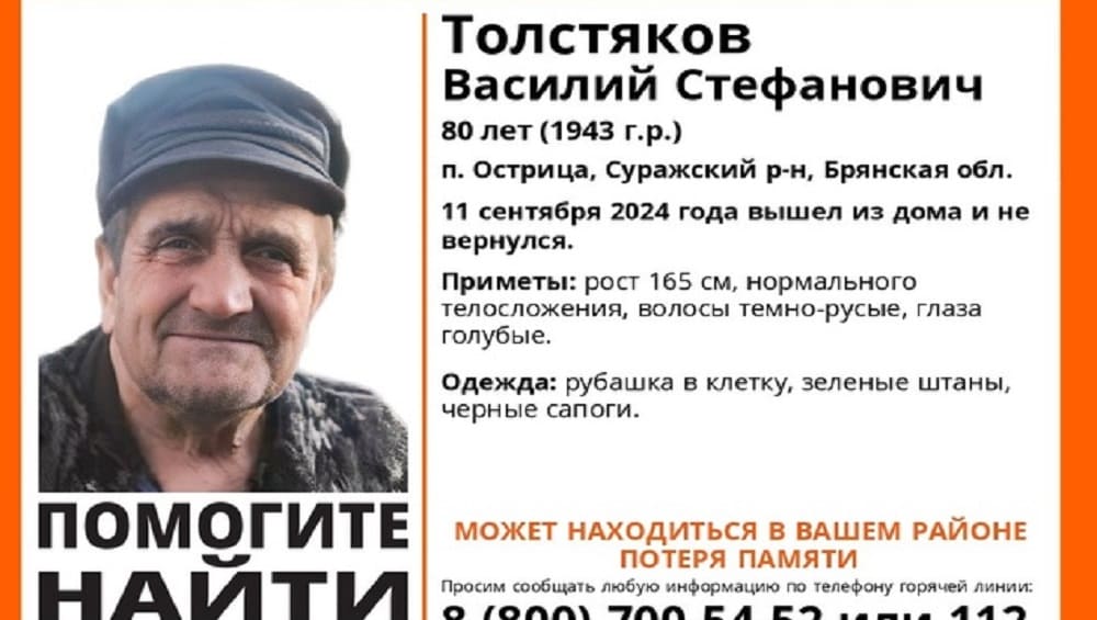 Пропавшего без вести в Сураже 80-летнего Василия Толстякова нашли живым