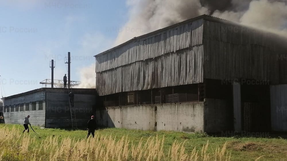 В посёлке Мирном Клетнянского района днём 7 сентября сгорела лесопилка