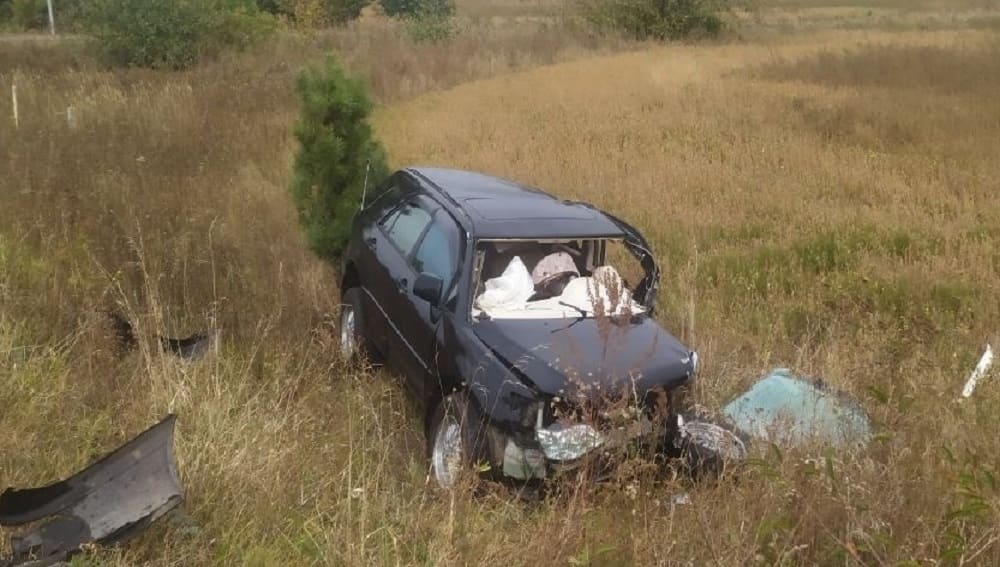 Стали известны обстоятельства гибели мужчины в ДТП на брянской трассе