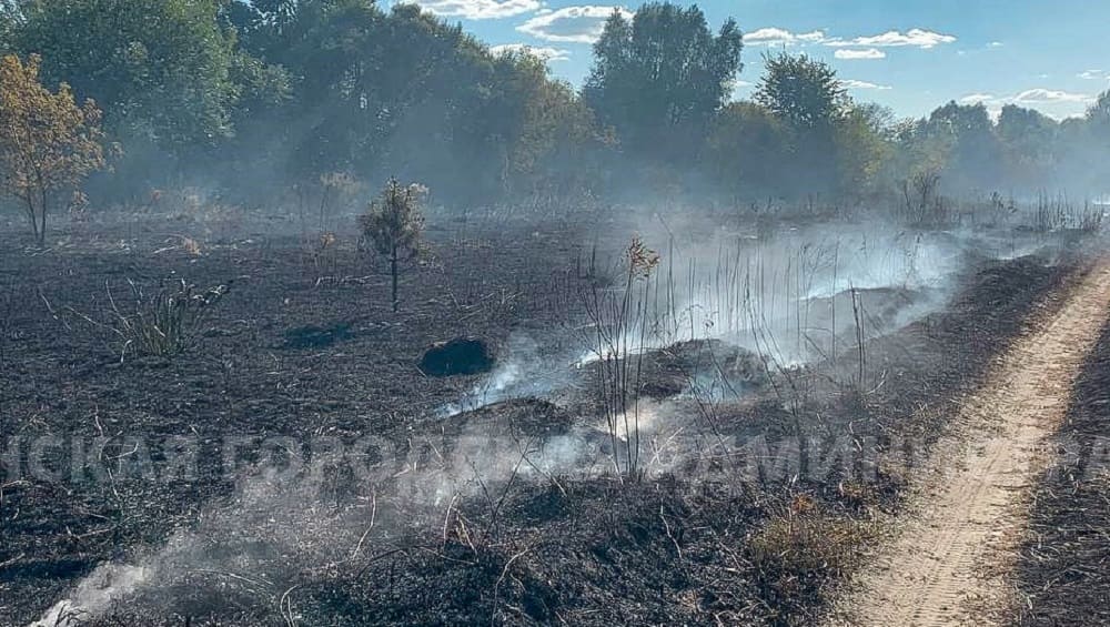 В Брянске потушили горевшую траву и мусор в садовых обществах «Флора» и «Вишня»