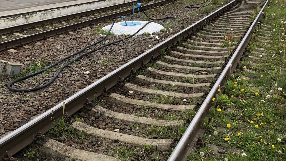 В Брянске начали выяснять личность погибшей под колесами поезда женщины