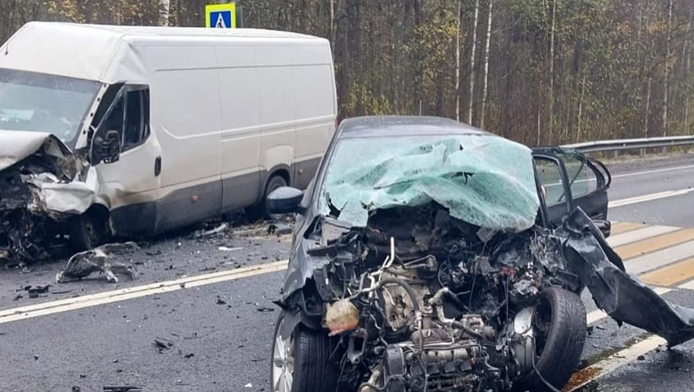 Брянская прокуратура начала проверку после гибели мужчины и девочки в ДТП