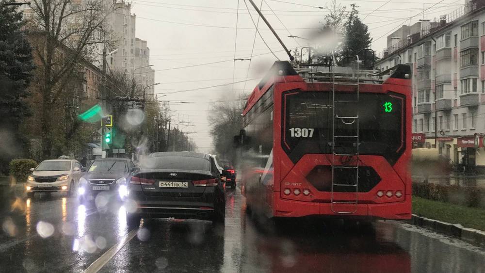 В Брянской области днём 15 марта пообещали дождь со снегом при 5 градусах тепла