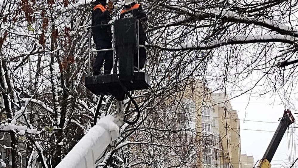 В Брянске упавшее дерево выбило оконные стёкла в доме на улице Костычева