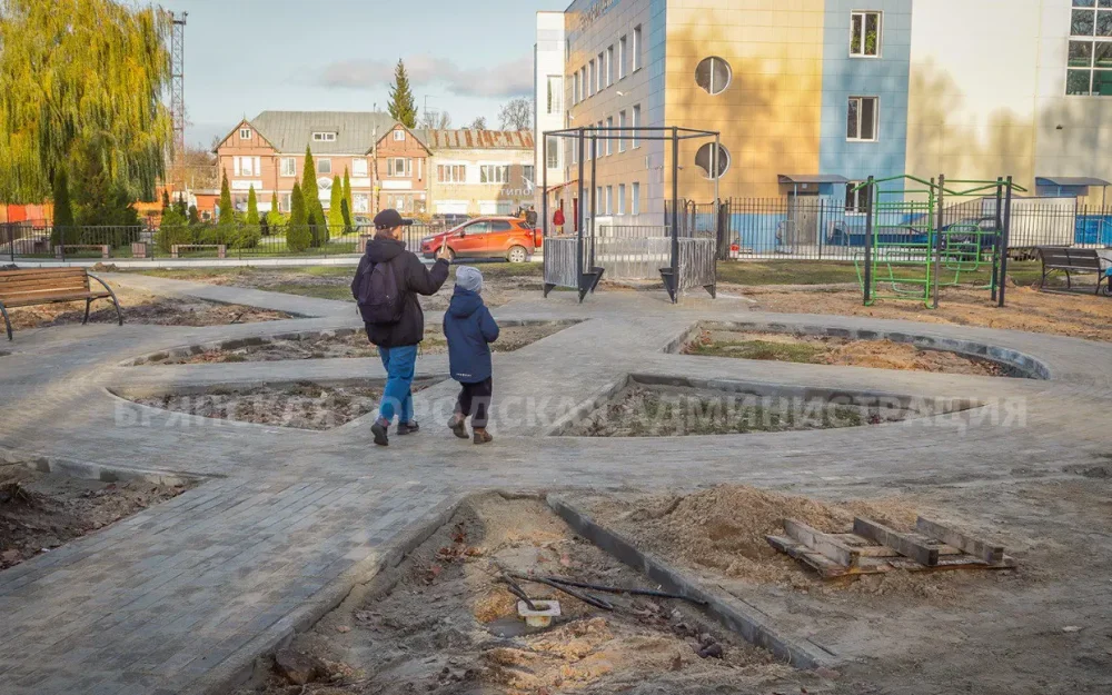 В парке Пушкина в Брянске установят освещение и спортивные площадки