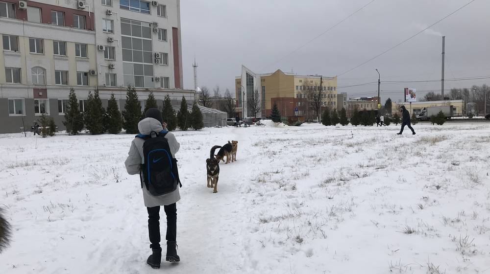 Брянские подростки в возрасте до 14 лет стали мишенью бандеровцев