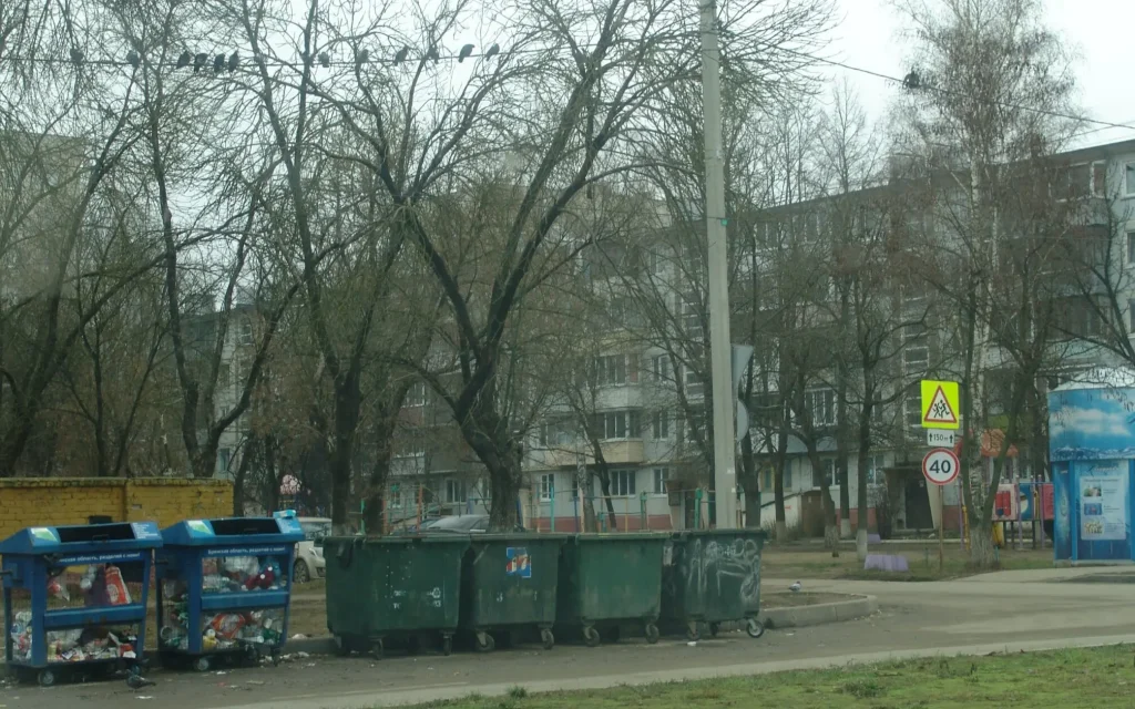 В Бежицком районе Брянска прошла санитарная пятница