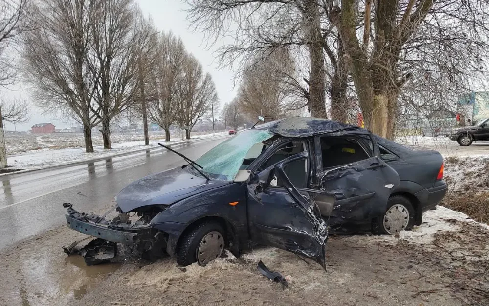 Водитель Ford Focus попал врезался в дерево в Бежицком районе Брянска