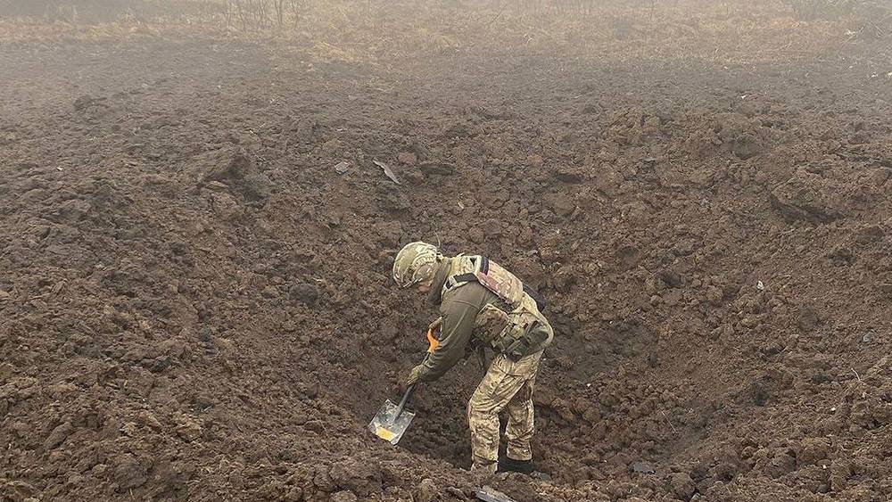 Стало известно, что линия нового НАТО пройдет по брянской границе