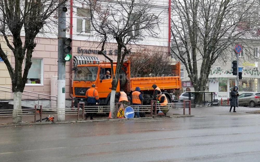 В Брянске с начала этого года кронировали 400 деревьев